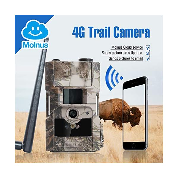 BolyGuard Wildkamera,24MP 1080P Full HD Jagdkamera 940nm No Glow Infrarot 90ft/27M Nachtsicht Überwachungskamera 1.44… – Bild 3