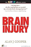 Brain Injury by Alan Cooper
