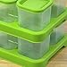 green sprouts Fresh Baby Food Unbreakable Cubes (4oz/4pk) | Store, carry, & serve homemade baby food | Lid provides leak-proof seal, Made from safer plastic, Embossed with measurements