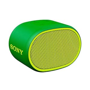 Sony SRSXB01G.CE7