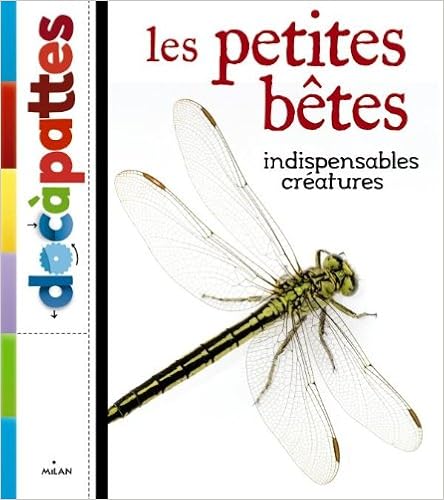 petites-betes-indispensables-creatures