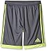 adidas Performance Boys Tastigo Shorts, Vista Grey/Frozen Yellow, X-Large