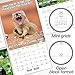 2020 Animal Memes Wall Calendar (LME3101020)