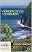 Veronica Mars - the TV series: Veronica vs. Veronica (Kindle Worlds Short Story) (The Lost Summer Book 1)