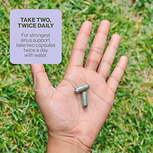 Hilma Natural Sinus Support All Day Allergy Relief from Pollen and