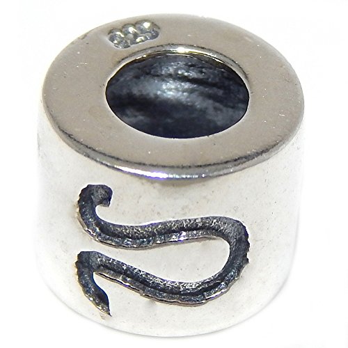 Pro Jewelry 925 Solid Sterling Silver Cylindrical Leo Zodiac Sign Charm Bead