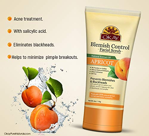 blemish control facial scrub