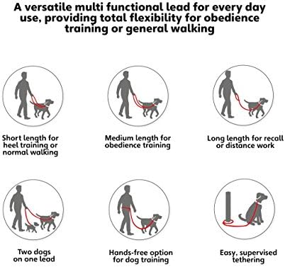 halti training leads