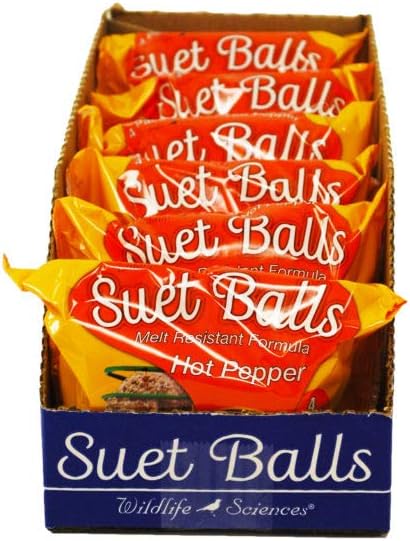 Backyard Birding & Wildlife - Wildlife Sciences Suet Balls 24 Pack, 6 Individually Wrapped Packs of 4 Bird Suet Balls (Hot Pepper Blend)