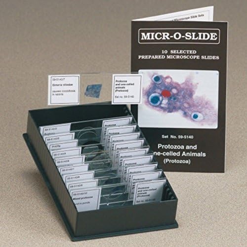 Johannes Lieder LEIDER Protozoa and One Celled Animals Stained Microscopic Glass Slides