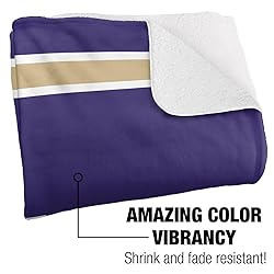 University of Washington Primary Logo Stripes