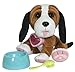Cabbage Patch Kids Adoptimals - Plush Pet Dog (Basset Hound)