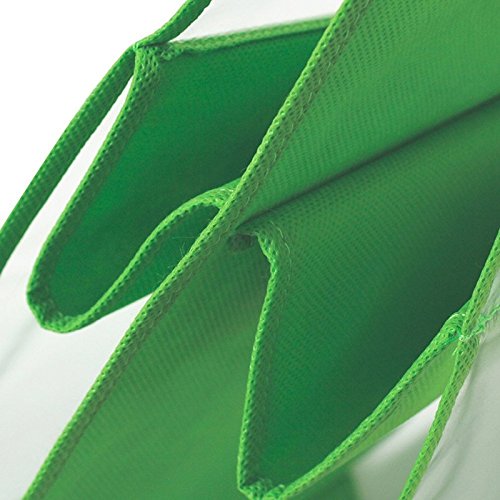 Ducomi Poppins Colgador de Bolsos y Ropa con Gancho para Armario con 6 Compartimentos (Verde)