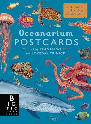 Botanicum Postcard Box Set (Welcome to the Museum): Willis, Kathy