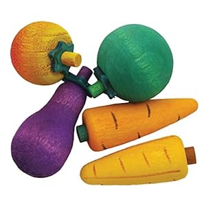 Rosewood 3D Nibble Stix, Pack of 5, green/purple/orange/yellow