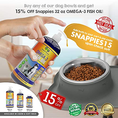 Large Dog Bowls & Mat Set Two Big 54oz (108oz Total) Removable