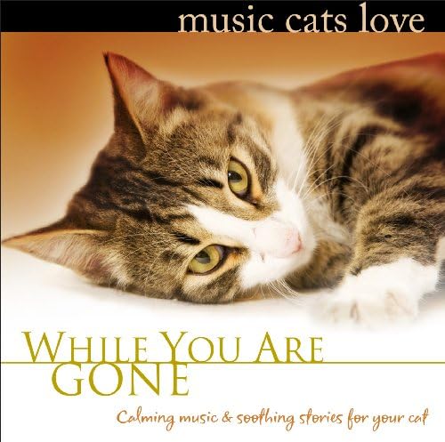 Amazon.com: City Rats & Alley Cats: CDs y Vinilo