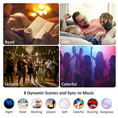 BANWEY Smart Led Recessed Lighting 6 Inch, LED WiFi Recessed Lighting