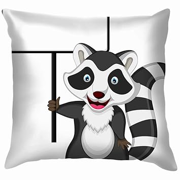 Amazon Com X Large Raccoon Cartoon Posing Blank Sign Animals