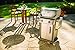 Weber 46100001 Spirit S210 Liquid Propane Gas Grill, Stainless Steel