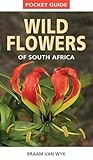 Image de Pocket Guide: Wild Flowers of South Africa
