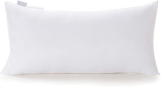 Amazon Com Acanva Hypoallergenic Throw Pillow Insert Soft