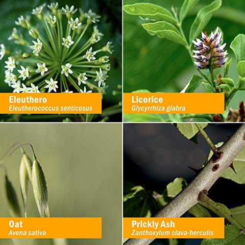 Herb Pharm Adrenal Support Liquid Herbal Formula with Eleuthero and