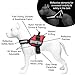 Service Dog Harness & Matching Leash Set | Available In 7 Sizes From Extra Small to Extra Large | Vest Features Reflective Patch and Comfortable Mesh Design From Industrial Puppy