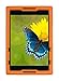 Bobj Rugged Case for ASUS ZenPad Z8 (ZT581KL, P008) (Not for ZenPad Z8S) - BobjGear Custom Fit - Patented Venting - Sound Amplification - BobjBounces Kid Friendly (Outrageous Orange)