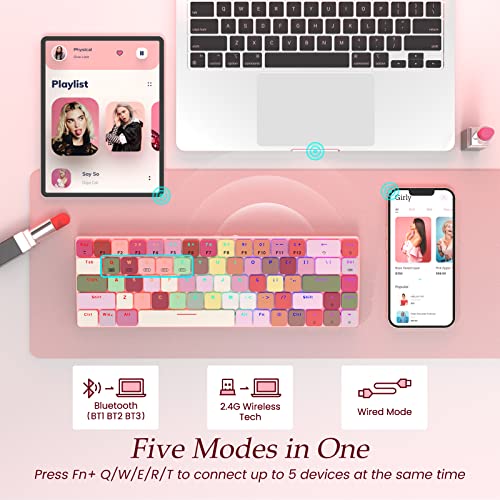 RisoPhy RGB Wireless Keyboard,60 Mechanical Gaming Keyboard with Metal