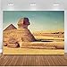 MEETSIOY 7x5ft World Famous Architecture Backdrop Egyptian Sphinx Background Photo Booth Studio Props Theme Party Backdrop MT415
