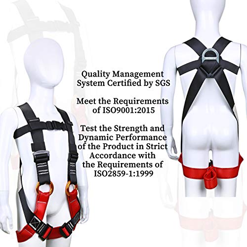 WILDKEN Kids' Climbing Harness Youth Harness Full Body Zipline Safety Harness for Mountaineering Outward Band Expanding Training Rock Climbing Rappelling Equip (Black)