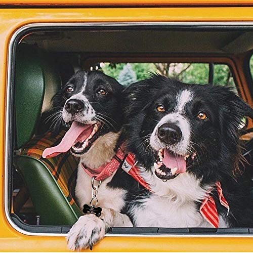 COMTIM 2 Pack Dog Tag Clips, Stainless Steel Heavy Duty Quick Clips Pet ID Tag Holder for Dog / Cat Collar and Harness