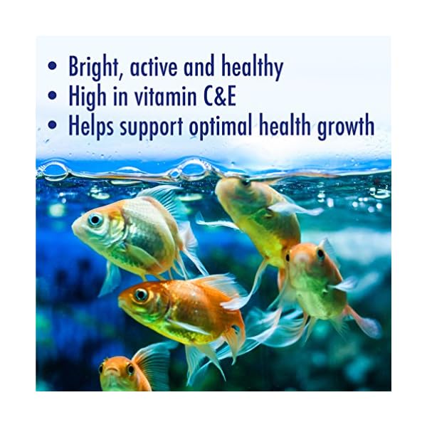 AQUARIAN-Complete-Nutrition-Aquarium-Goldfish-Food-Pellets-Also-Suitable-For-Small-Pond-Fish-100-g-Bag AQUARIAN Complete Nutrition, Aquarium Goldfish Food Pellets Also Suitable For Small Pond Fish, 100 g Bag