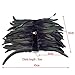 HOMELEX Gothic Victorian Black Natural Feather Collar Choker Halloween (Collar Choker-01
