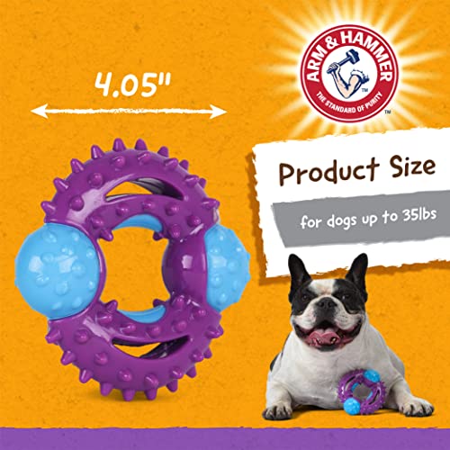 Arm & Hammer for Pets Nubbies Orion Dog Dental Toy Best Dog Chew Toy