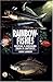 Rainbow Fishes: Keeping & Breeding Them in Captivity (Re-615) by Derek Lambert