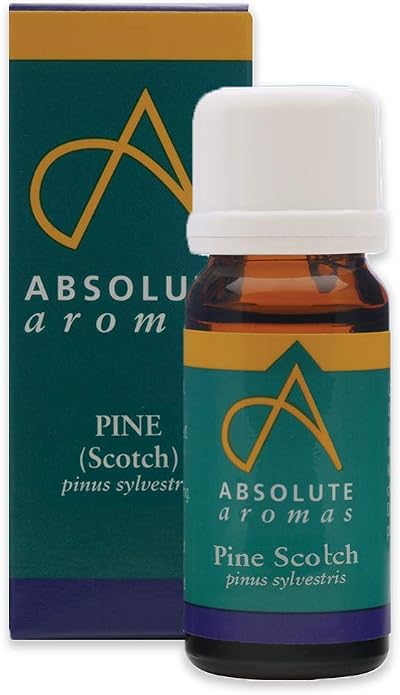 Absolute Aromas Pine Essential Oil 10ml 100% Pure Scotch Pine