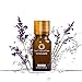 Ultra Brightening Spotless Oil,Uccdo Skin Care Natural Pure Remove Ance,Pure Nature Essential Oil (1Pcs)
