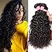 Nadula 8A Brazilian Virgin Hair Water Wave 3 Bundles Wet and Wavy 100% Unprocessed Virgin Human Hair Extensions Natural Color (12 14 16 Inch)