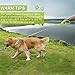 Nunbell Retractable Dog Leash,Heavy Duty 16ft Retracting Pet Leash with Free Bag Dispenser + Bonus Bowl + Dog Collar;Strong & Durable Nylon Tape/Ribbon | Dog IQ Treat Balls | Neon Green