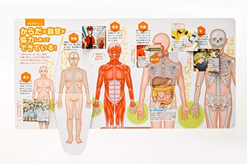 めくって学べる はたらく細胞 からだのしくみ 講談社 シリウス編集部 はたらく細胞製作委員会 本 通販 Amazon