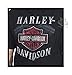 Harley-Davidson Mens Sinful Pleasure B&S Engine V-Neck Shirt (Large)