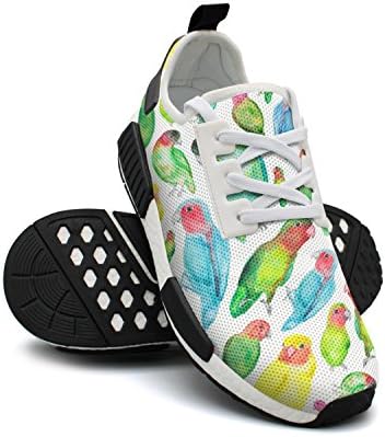 Womens Watercolor Tropical Love Birds Parrots Sneakers Casual Running Shoes