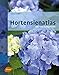 Hortensienatlas by 
