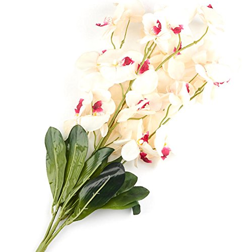 Cream and Fuchsia Poly Silk Moth Orchid Floral Bush | For Indoor Decor