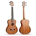 Afuaim Ukulele Soprano 21 Inch Mahogany Uke AUM-21M Ukulele Pack with Gig Bag