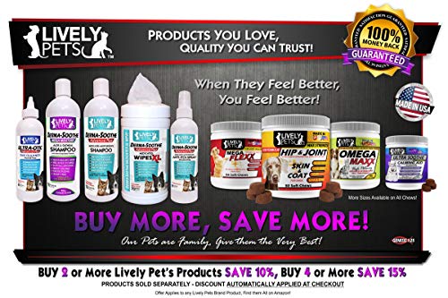 ketoconazole dog shampoo