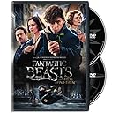 Fantastic Beasts and Where to Find Them (DVD)