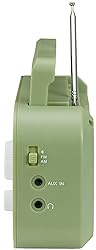 Crosley CR3041A-SG Forte Portable AM/FM Radio with